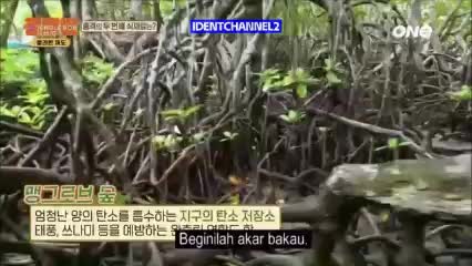 One (Southeast Asia) - PG, Other TV Moment (July 1, 2026)