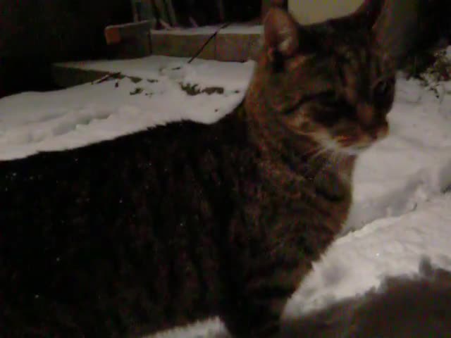 as all the angels cry