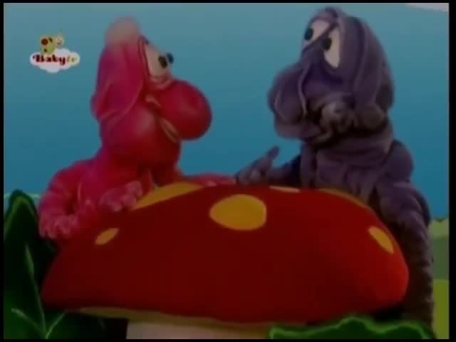 Bim and Bam In The Animal World - Kangaroo