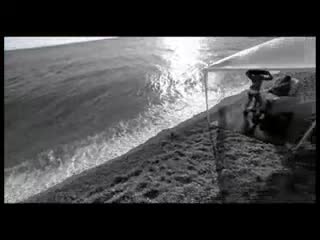 Rozana Radi feat. Noizy - Fly