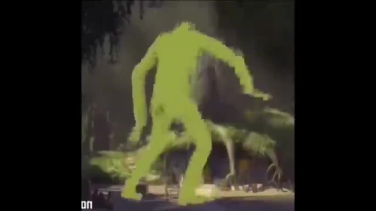 La txa txa 666 bailando su canción favorita (jorge nitales gatuno)