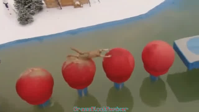 Wipeout Compilation HD - Sparta Party Hard Remix