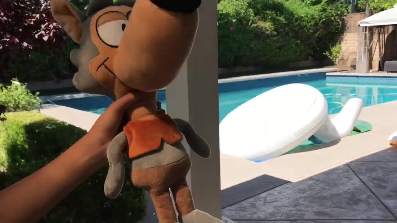 I’m Wise (OFFICIAL MUSIC VIDEO) (So Basically Studios)