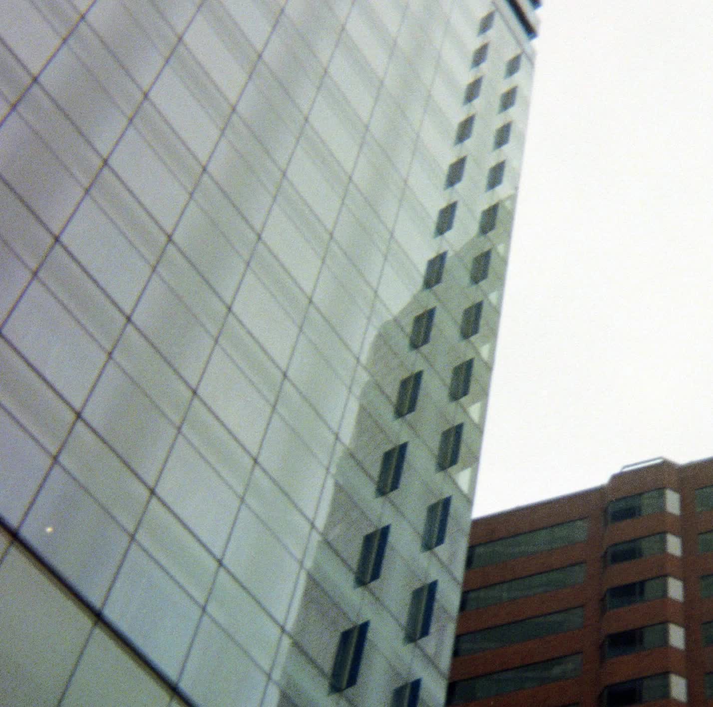 The Conformists of The Working Class