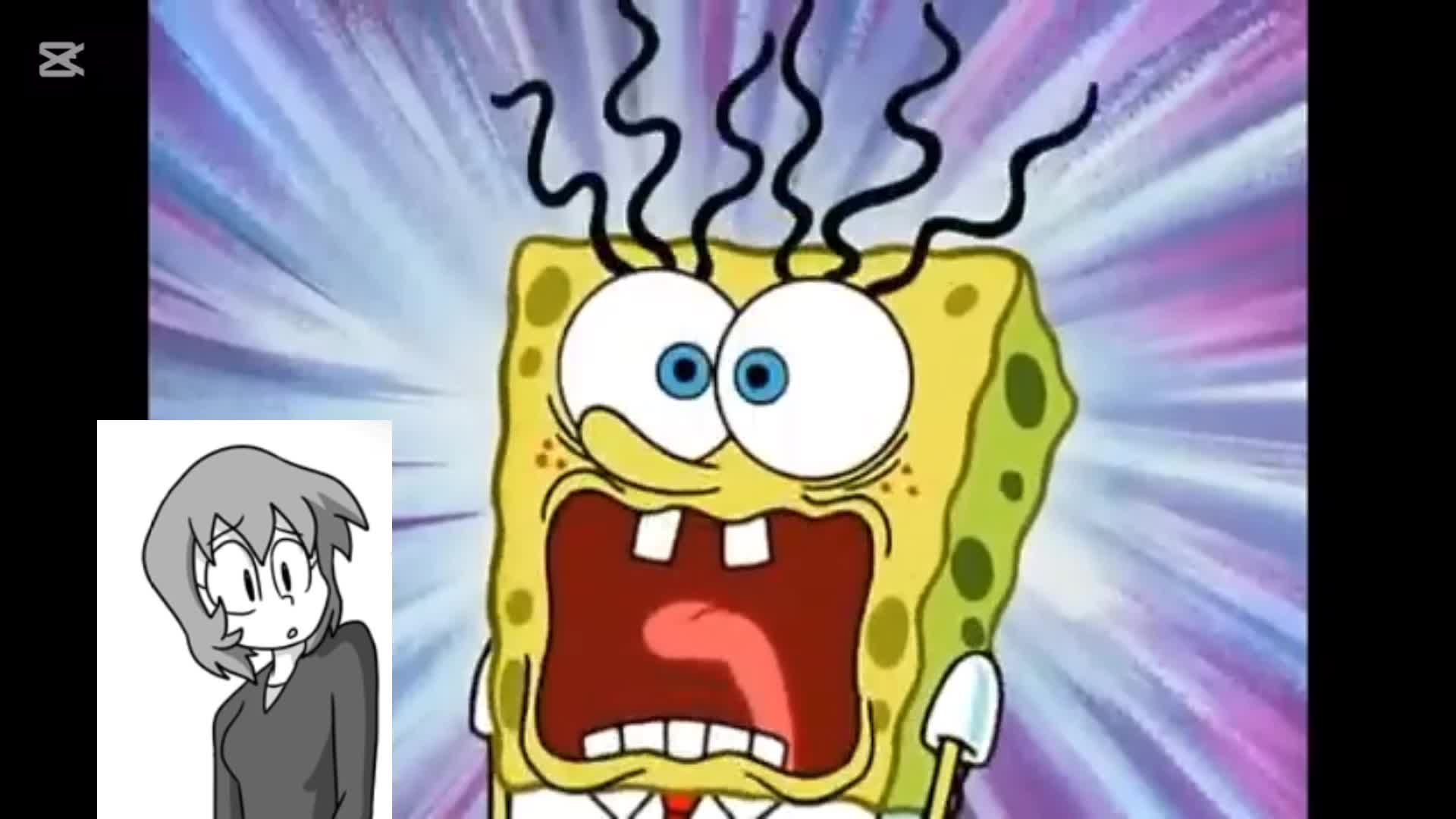 Erma Characters Portrayed by Spongebob Erma Characters Portrayed by Spongebob