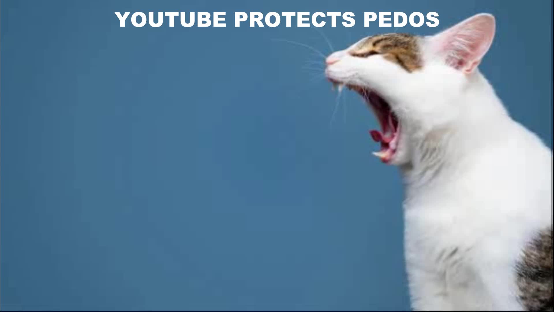 INTERNET ARCHIVE DEFENDERS BE LIKE (reupload)