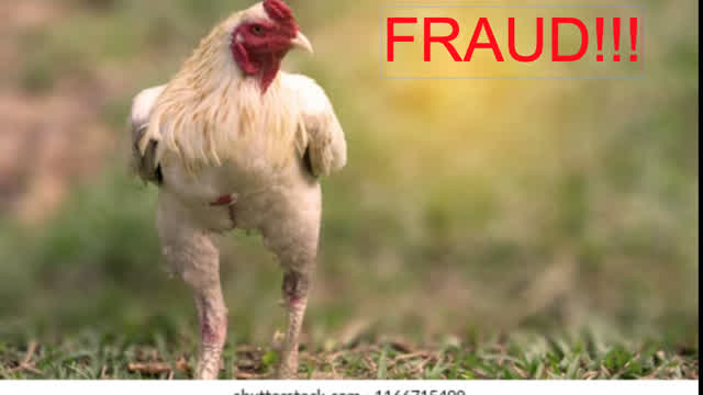 The Great Chicken Hoax The Great Chicken Hoax