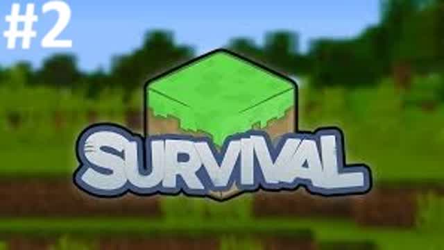 minecraft survival #2