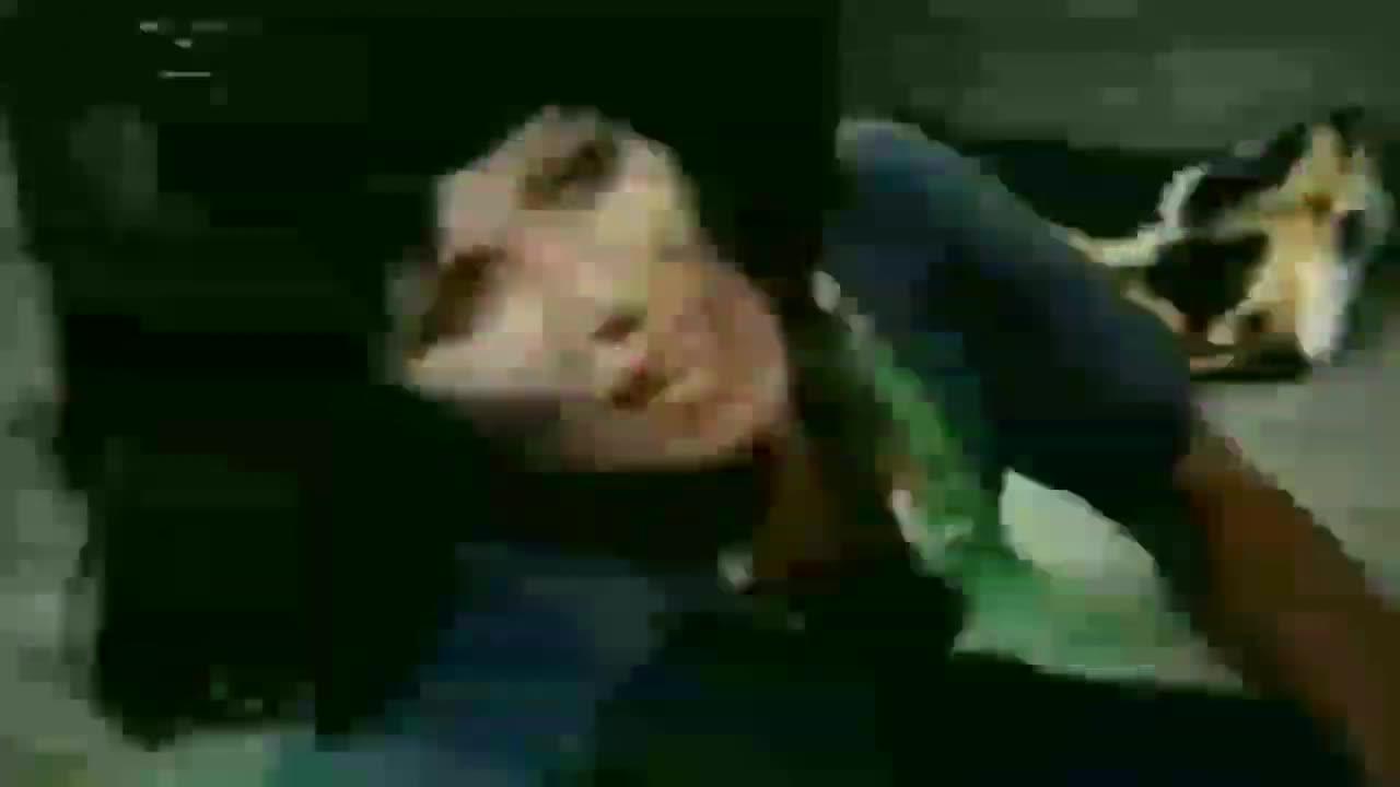 amoeba