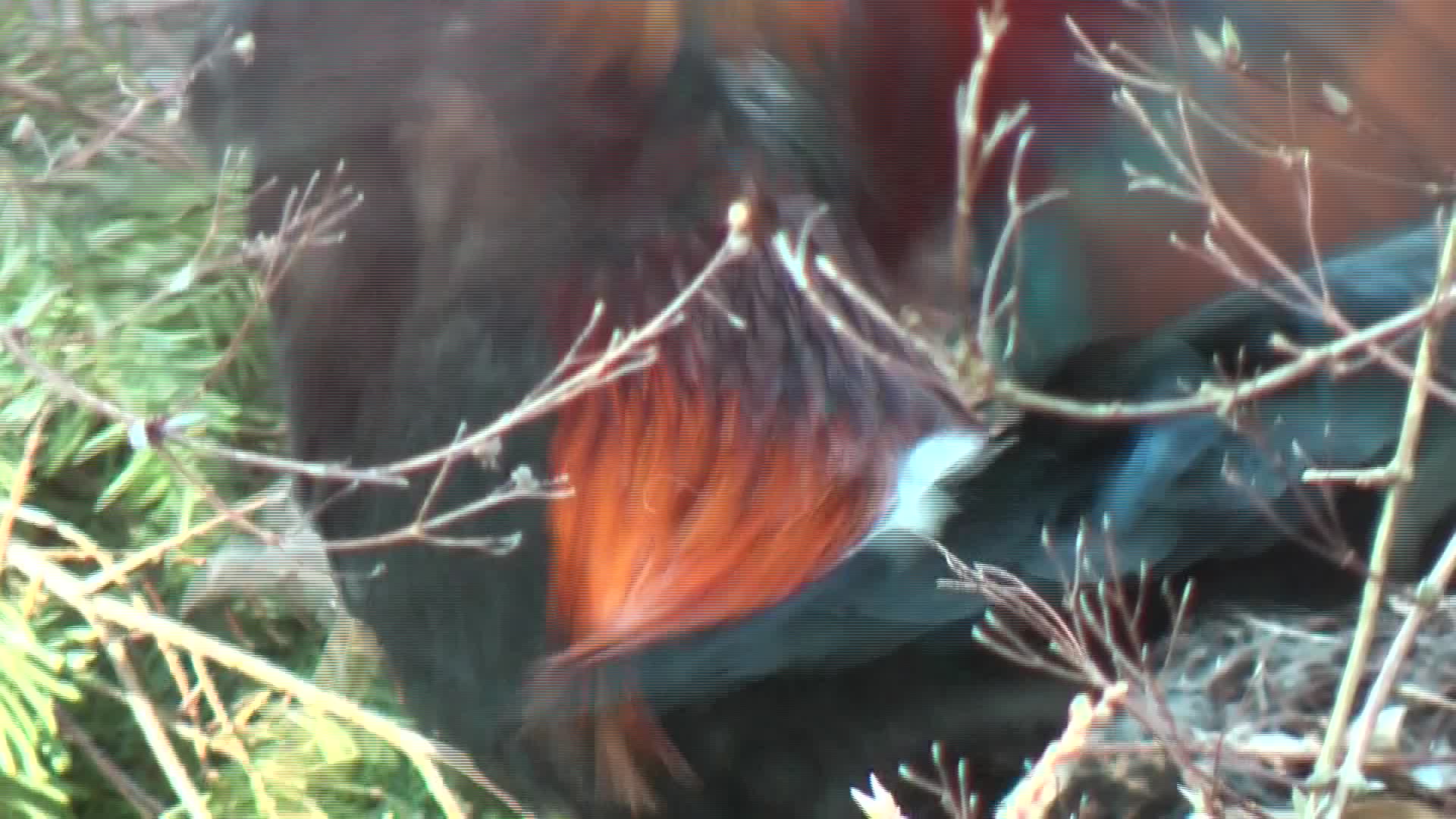 Botanical Garden <3 Botanical Garden <3