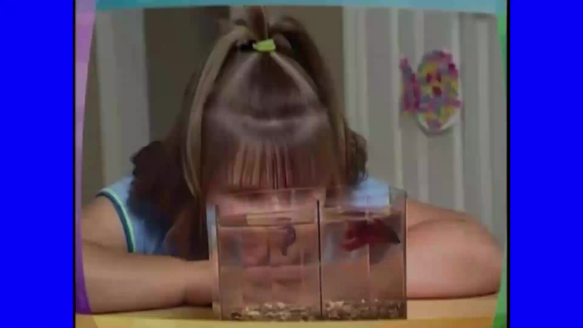 Barney y sus amigos - Conejitos / Episodio Completo (Español Latino)