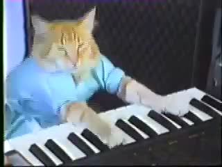 Keyboard Cat