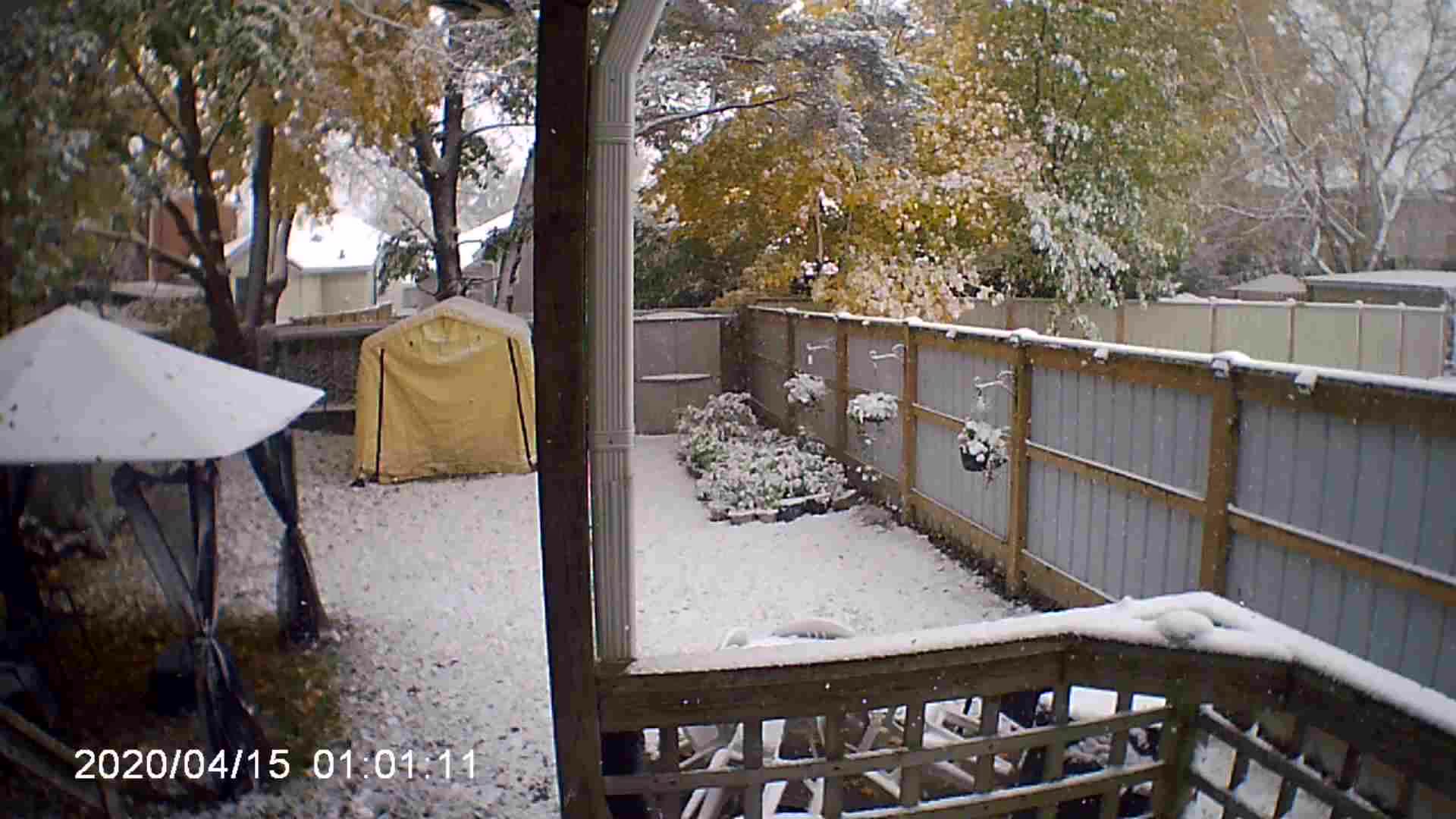 Garden tour Nov 9th, 2025 Garden tour Nov 9th, 2025