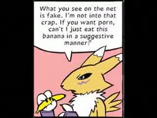 An Internet video about the Internet