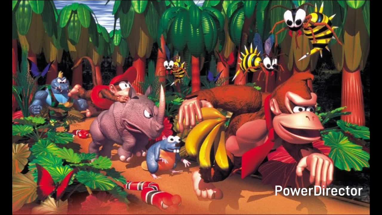 Mensaje Subliminal en Donkey Kong Country