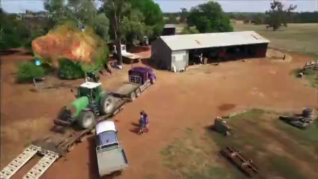 5Action (United Kingdom) - Promos (May 16, 2026)