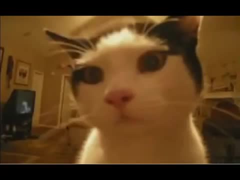 [Loquendo brutal epic fail]HolaSoyGerman no es un copion mensaje para kasterproject loquendo