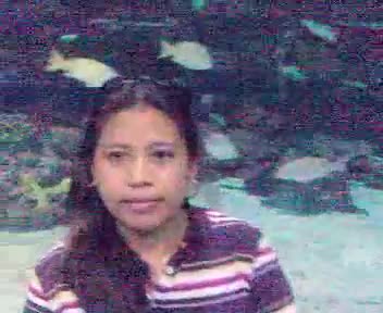 manila ocean park