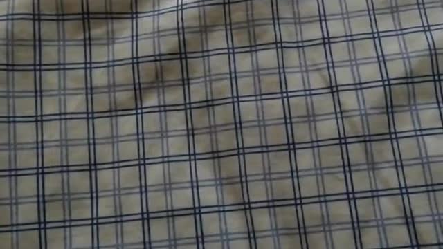 The DVD I Forgot To Show My Universal DVD Collection The DVD I Forgot To Show My Universal DVD Collection