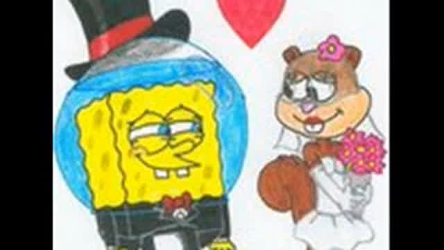 Spongebob is not gay!