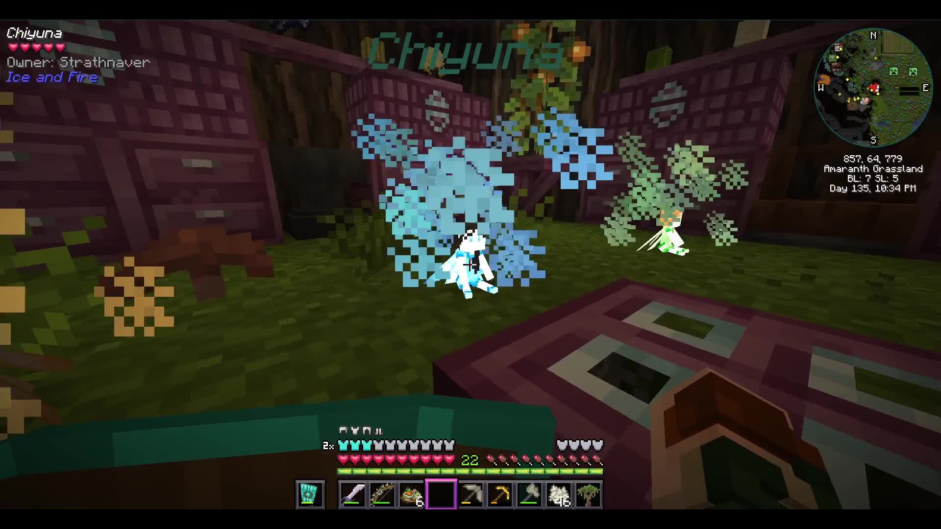 Minecraft - PassCode Pixies