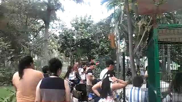 Personas afuera de la Casa Capibara, Gran Acuario Mazatlán, 28 de marzo de 2026 Personas afuera de la Casa Capibara, Gran Acuario Mazatlán, 28 de marzo de 2026