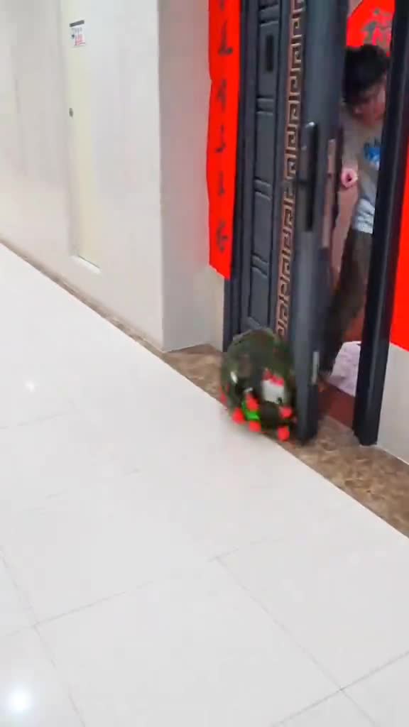 This is why you don't have to leave your house during the 2020 pandemic