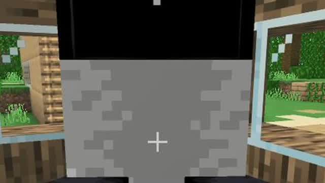 Me And Leo My Panda In Minecraft 2