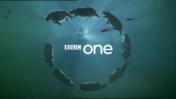 BBC One - Hippos Ident BBC One - Hippos Ident
