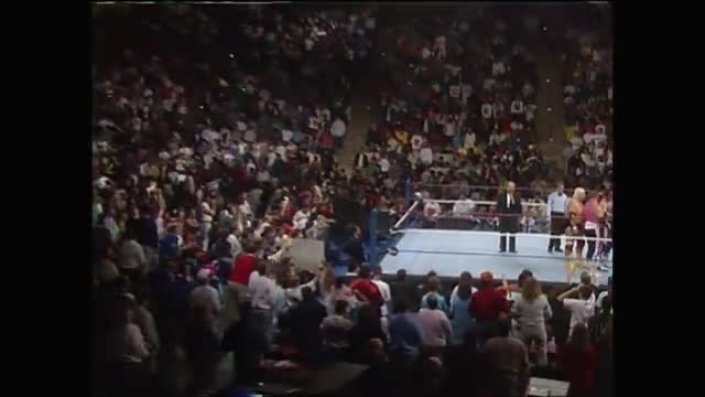 Survivor Series 1990 - The Dream Team vs. The Millions Team (4 vs. 4 Elimination Tag Team Match) Survivor Series 1990 - The Dream Team vs. The Millions Team (4 vs. 4 Elimination Tag Team Match)