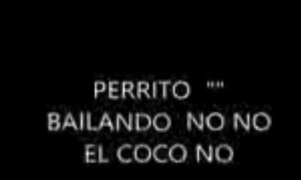 perro si lo mueve