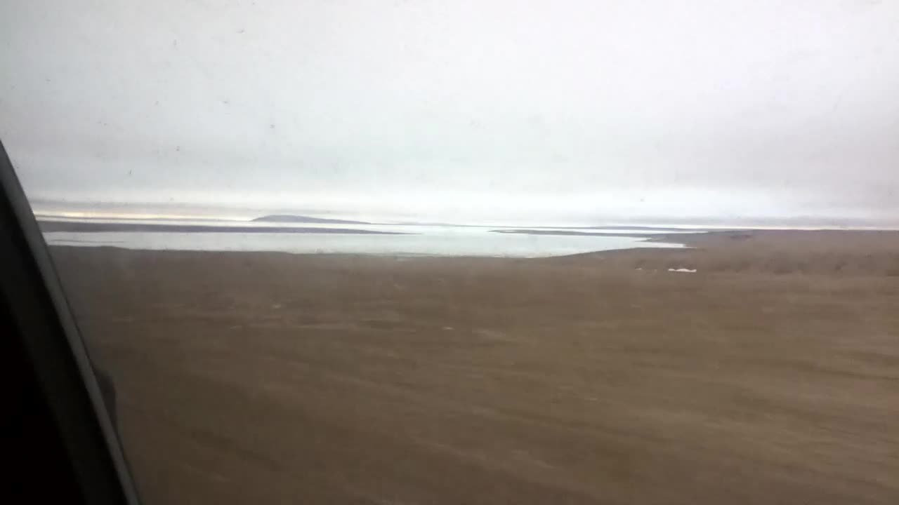 Went For A Drive! Went For A Drive!