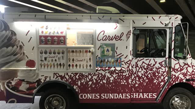 David Limas XD Gets Chased by The Bees Like a Idiot