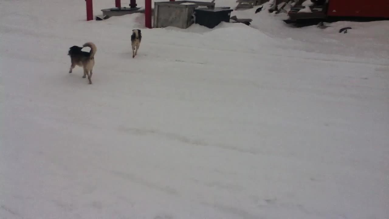Going For A Walk!