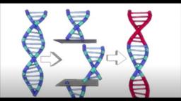 The Government Has Your DNA!!! The Government Has Your DNA!!!