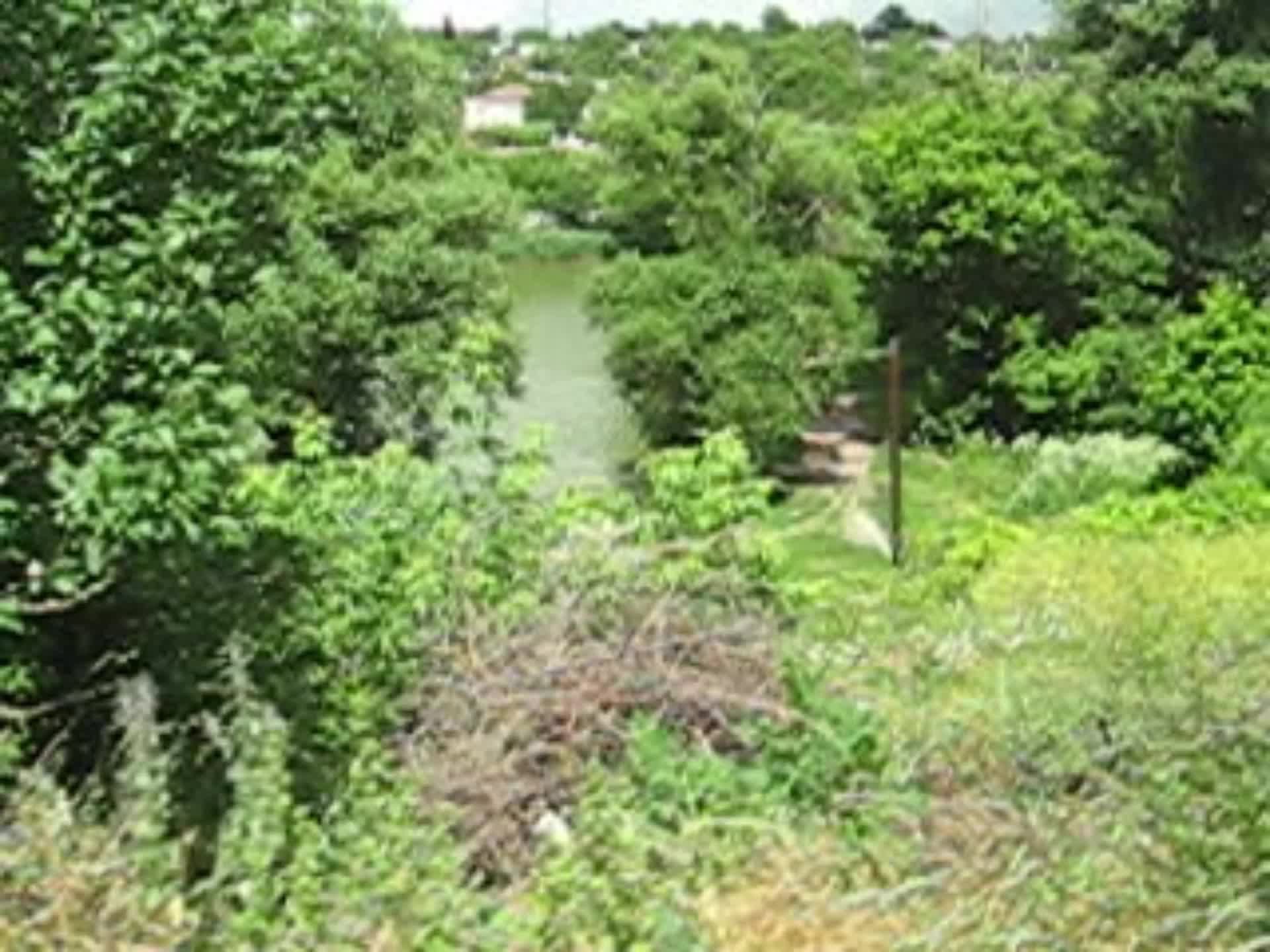 My vlog on old digcam My vlog on old digcam