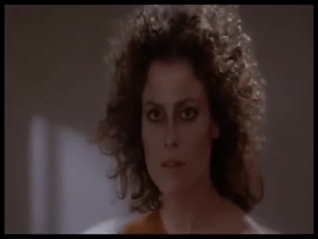 Take You To Paradise