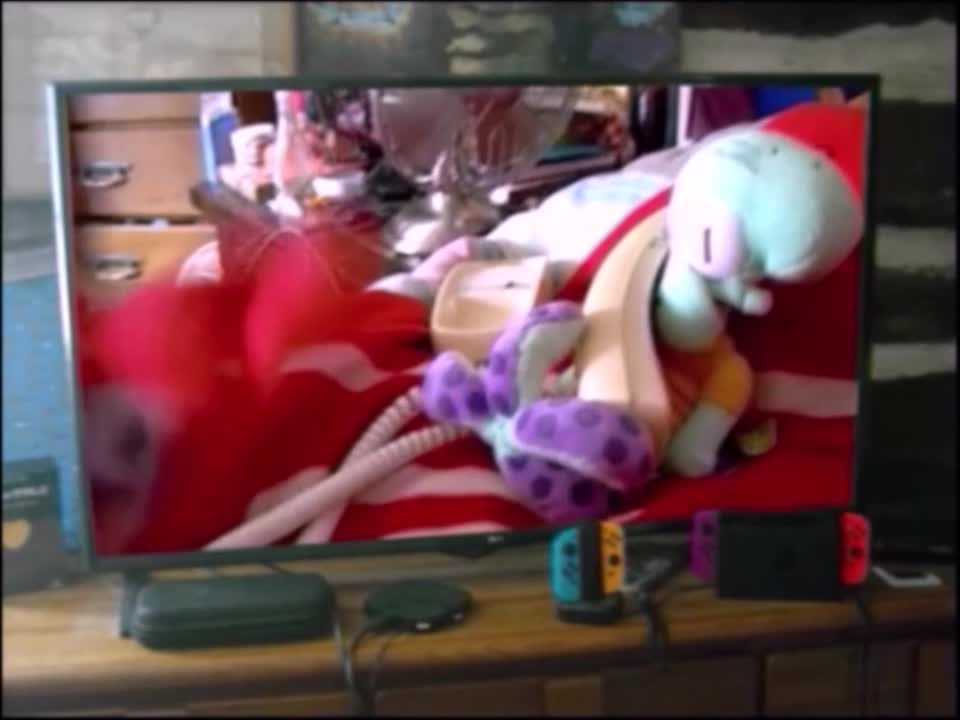 SH Plush Video: Bowling With Dunces & Pinheads