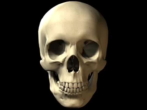 WOMEN DO NOT AGE AS WELL AS MEN WOMEN DO NOT AGE AS WELL AS MEN