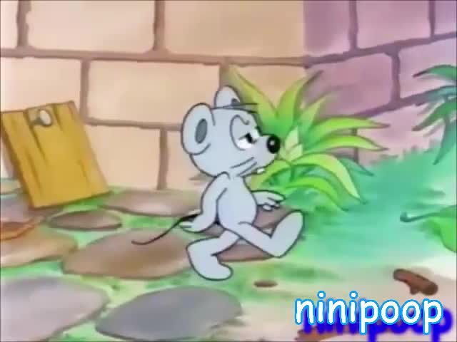 ototototototototototo