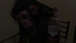 The 4th Stage of Grief - Jumkey's Anime Reviews #4