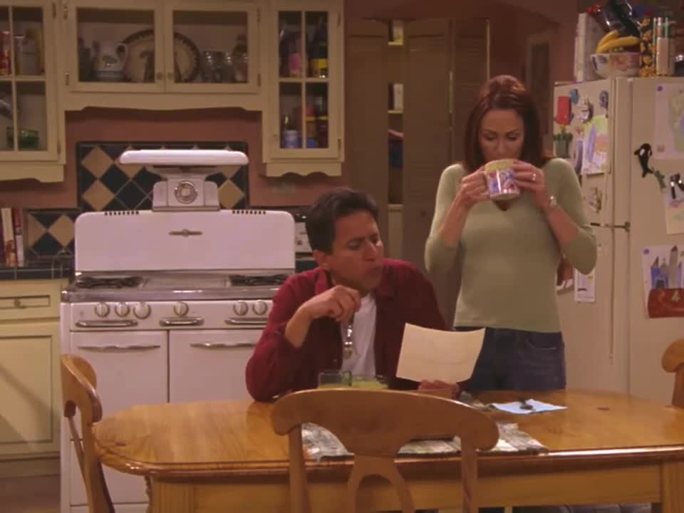 Everybody Loves Raymond S08E05 The Contractor