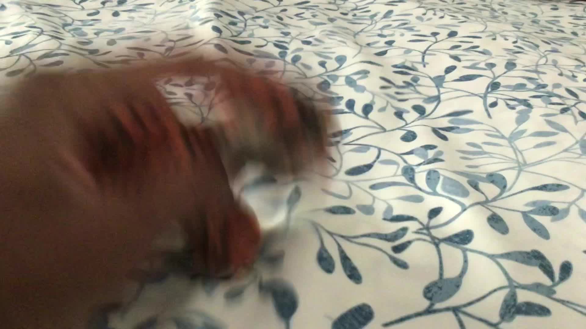 When a Creator Joins your Game