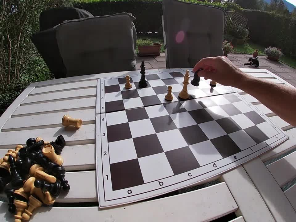 Endgame study by Peter Krug – October 2025