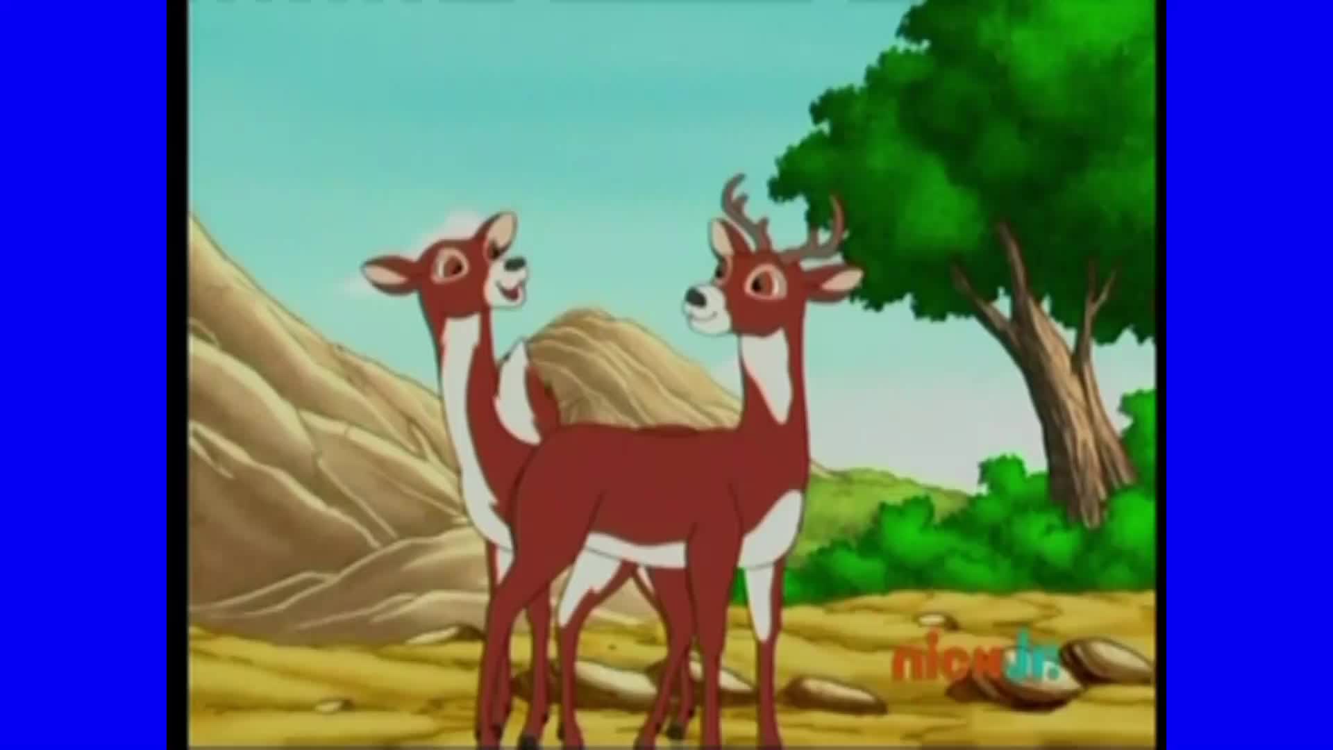 Go Diego Go! | Alicia y Colablanca al rescate / Episodio Completo (Español Latino)