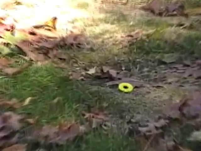 Girl in the Garden Girl in the Garden