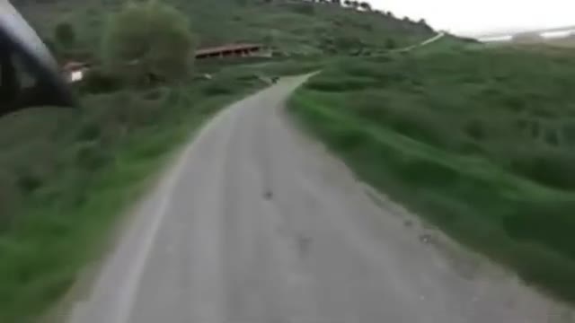 SALGAAN PERROS CTM !!!!!