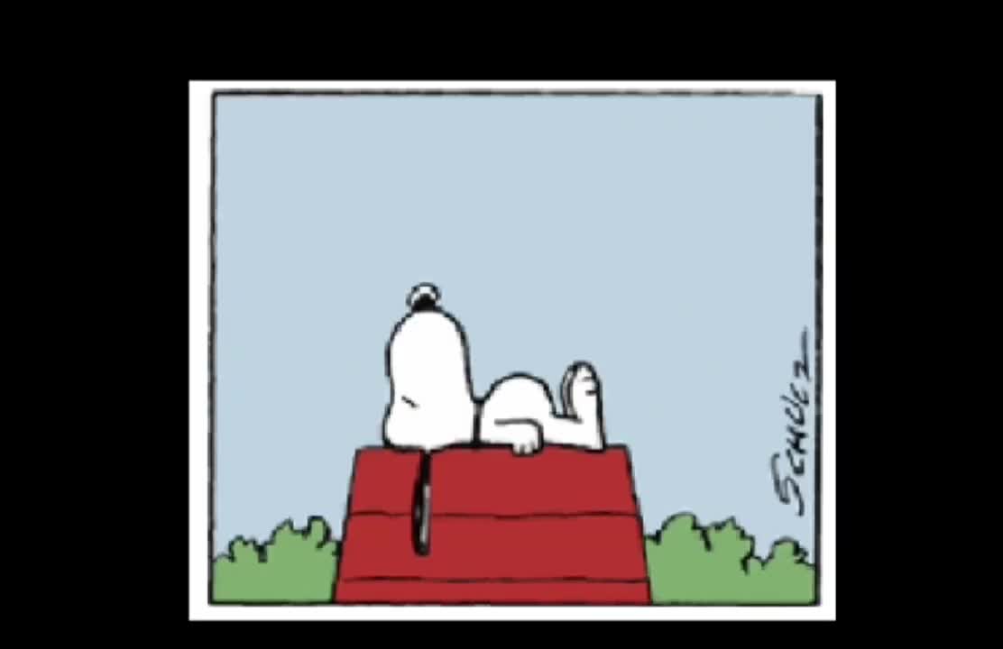 Show Accurate Snoopy (peanuts Comic dub)