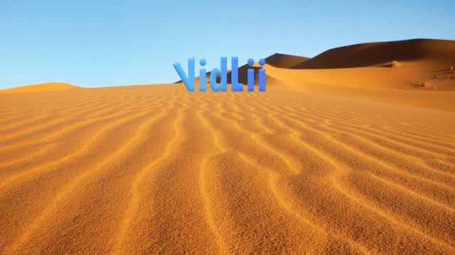Vidlii is a dying ghost town LOL