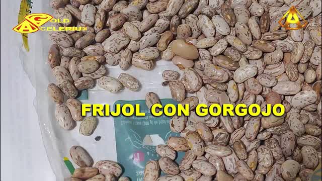 FRIJOL CON GORGOJO SON EN @TIENDAS3B, @GOLDACELERIUX